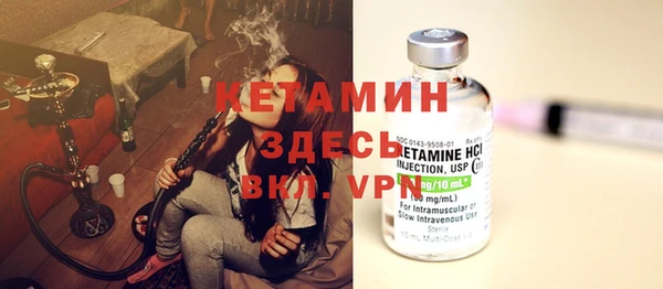 эйфоретик Гусь-Хрустальный