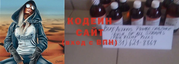 прущий лед Гусев