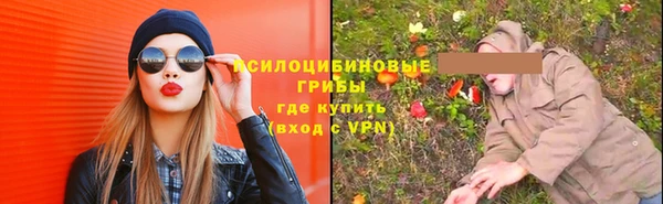прущий лед Гусев