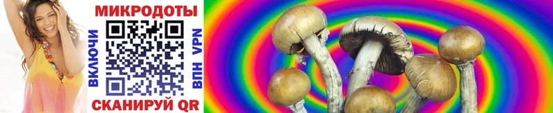 Галлюциногенные грибы MAGIC MUSHROOMS  Раменское 