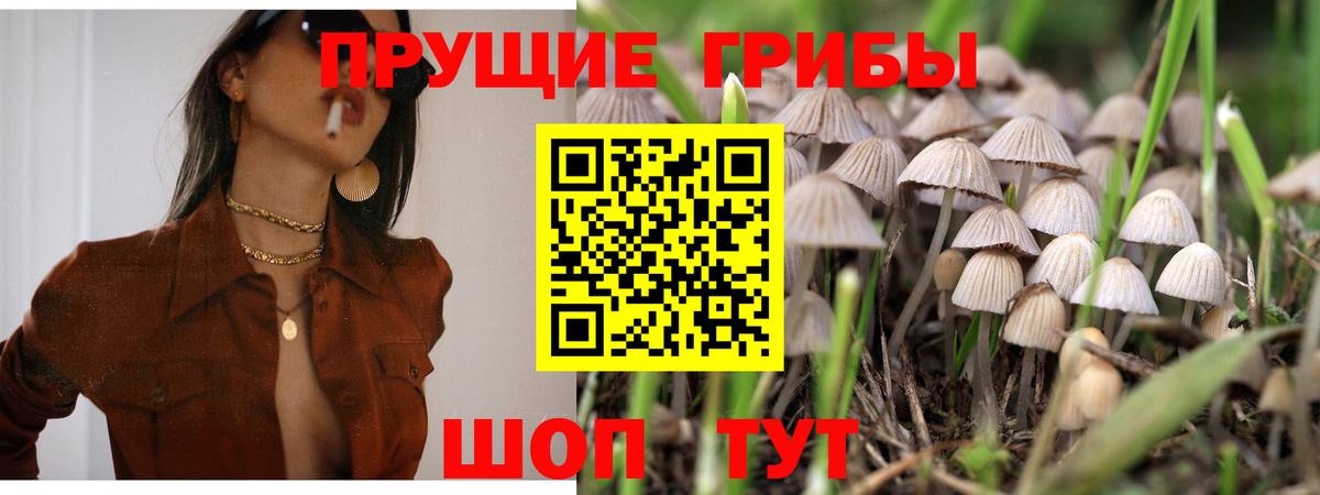Раменское  что такое   Вход с VPN  Псилоцибиновые грибы ЛСД 